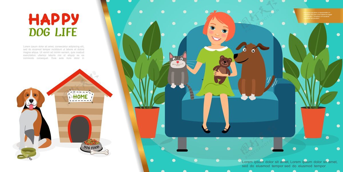 女人平底快乐宠物生活概念与可爱的女孩小狗和小猫坐在扶手椅狗附近的狗窝碗与食物骨皮带公寓设置动物