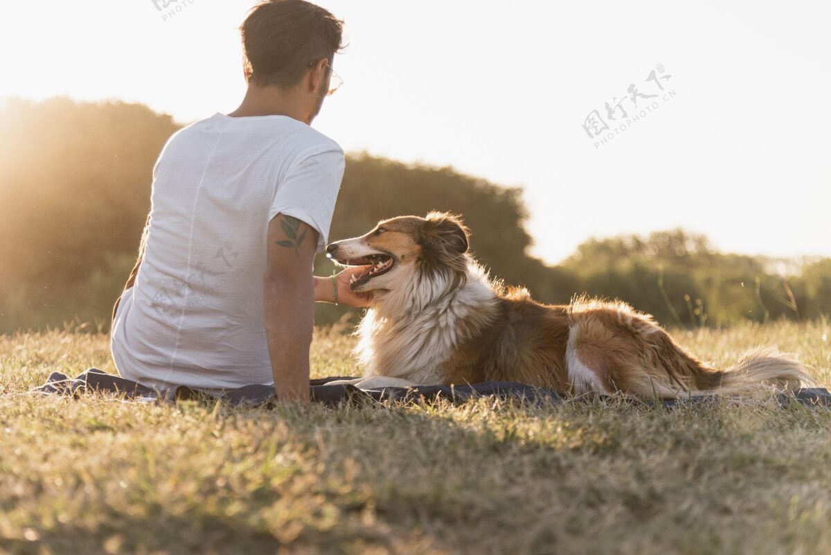 狗背影年轻人带着狗在海边家养狗后视图雄性