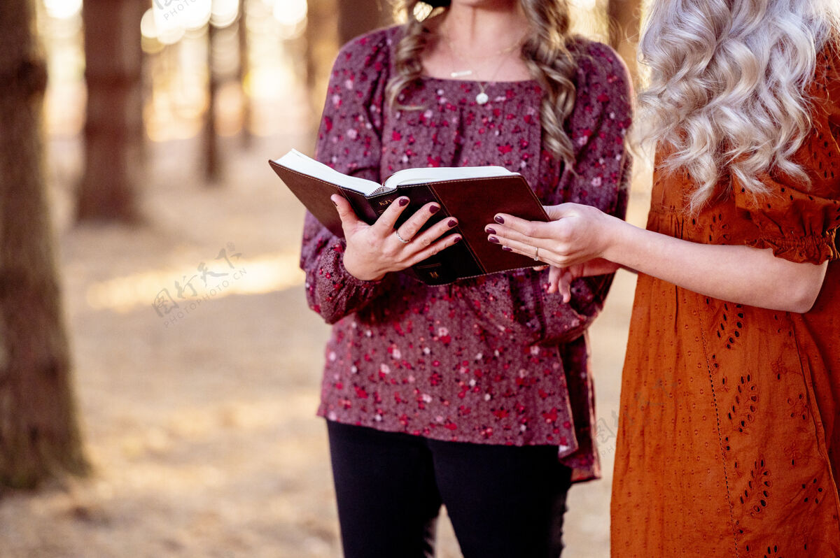 分析打开女性手中的圣经旧书籍基督教