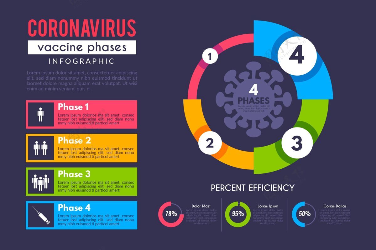 病毒扁平冠状病毒疫苗阶段信息图图形模板图表