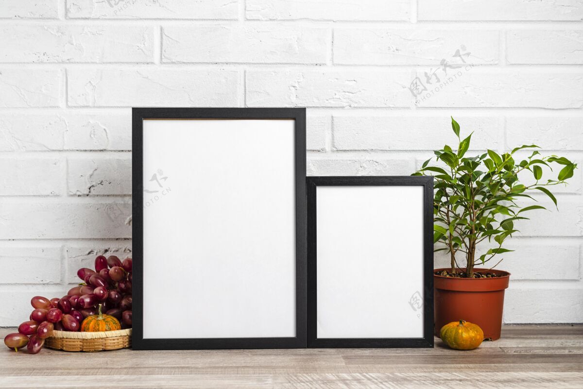 镜框花盆和葡萄旁边的空白框架南瓜葡萄花盆