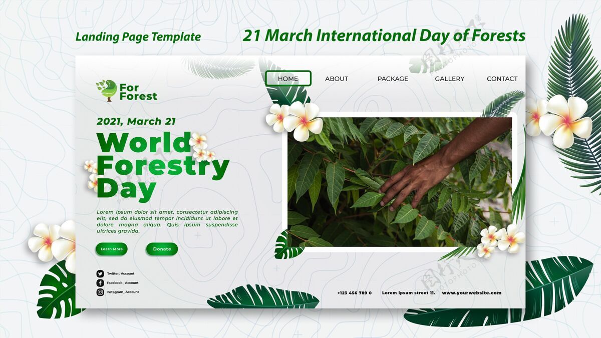 世界各地国际森林日登陆页登录页网页模板国际