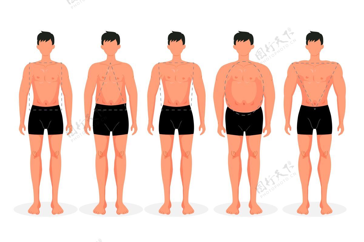 身体类型平面手绘型的男性体型分类平面身体形状