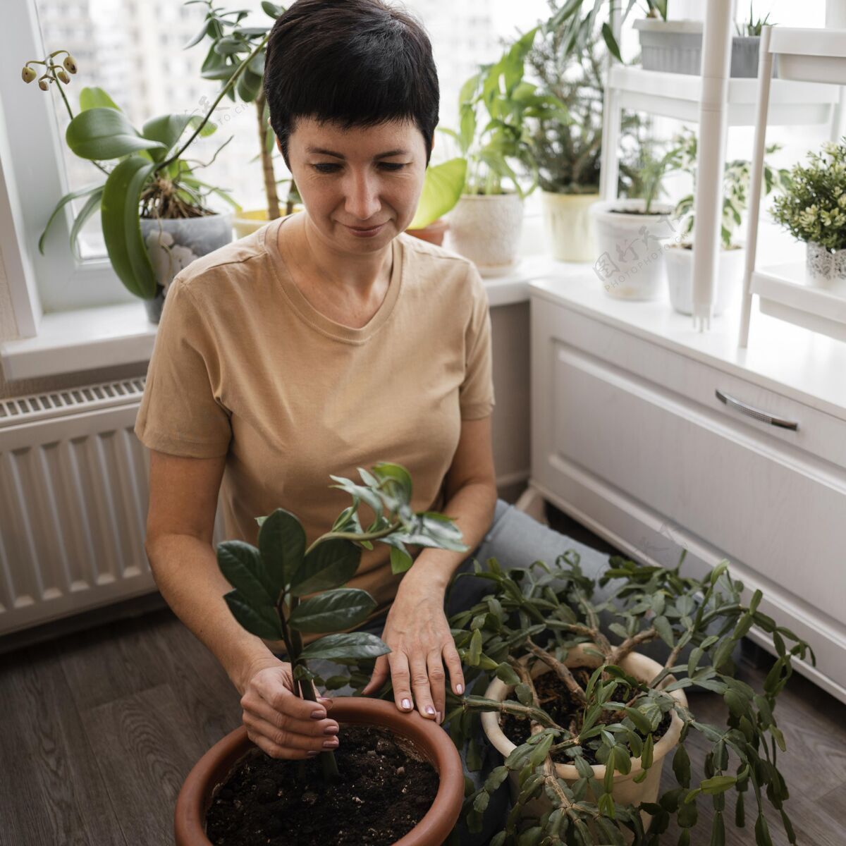 园艺看护室内植物的女人的高角度女人植物室内