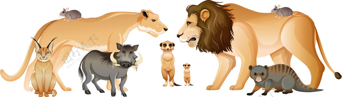 凶猛一群非洲野生动物丛林猎人卡通