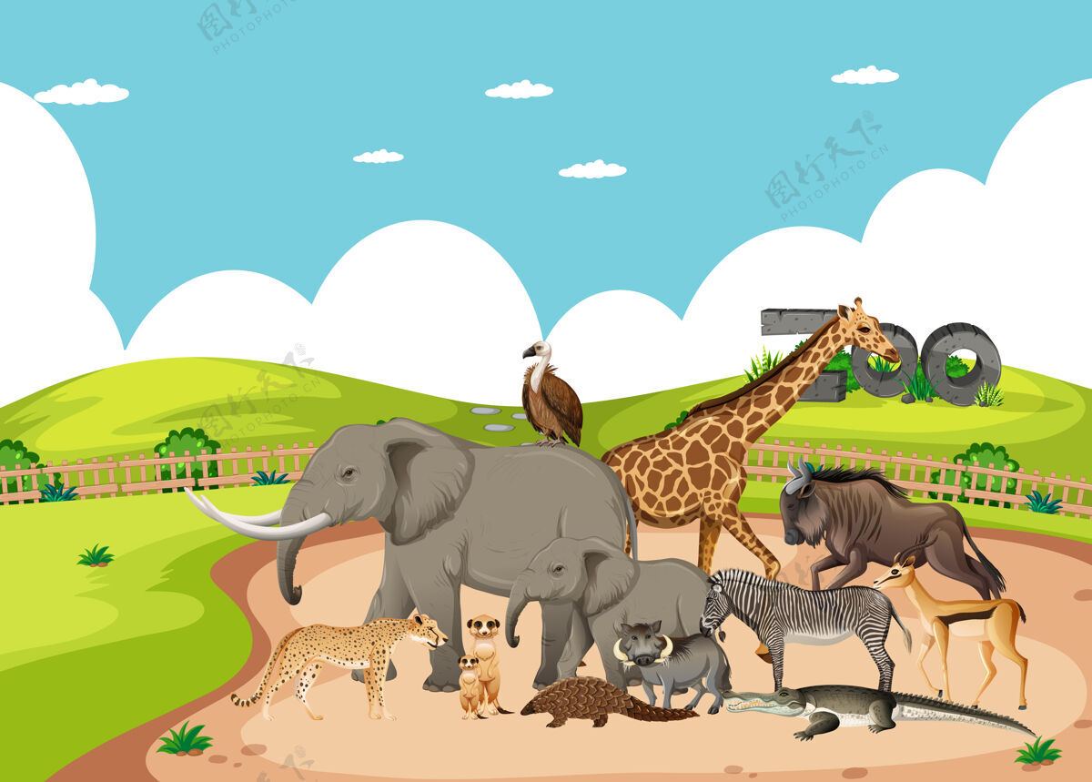野生动物动物园里一群非洲野生动物的场景森林绿色动物