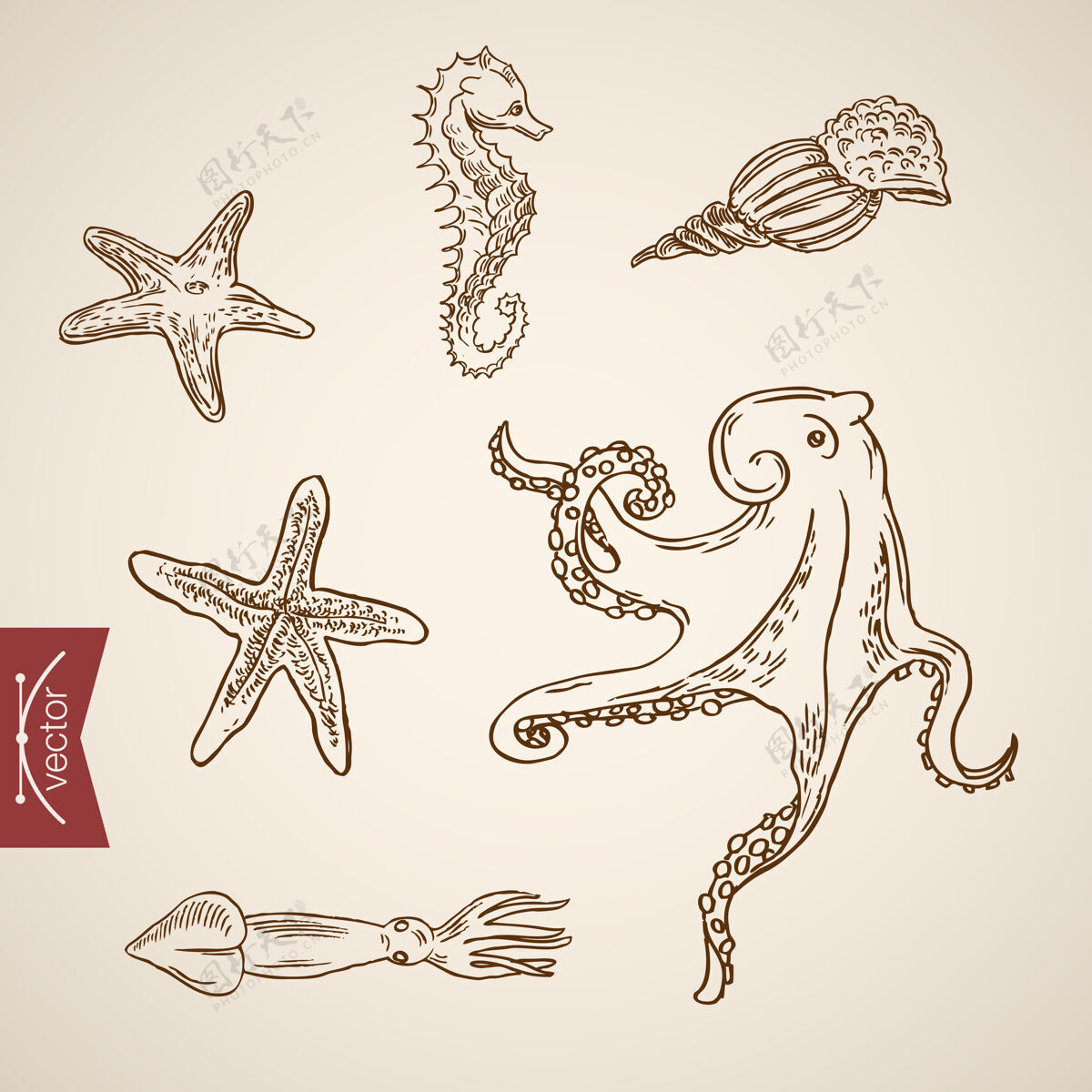 生命水下世界海洋生物海洋图标集绘画海洋古董