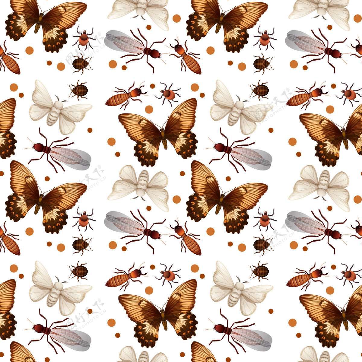 自然不同的昆虫图案爬行翅膀系列
