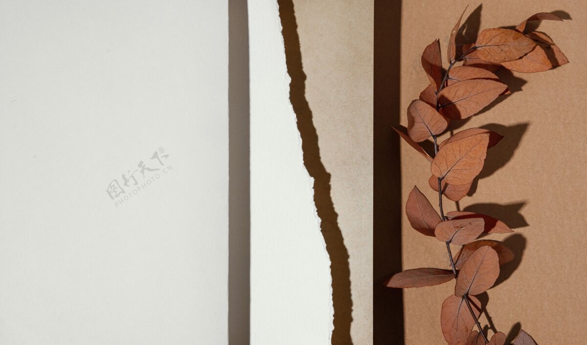 简单干树叶纸的顶视图有机艺术家文具