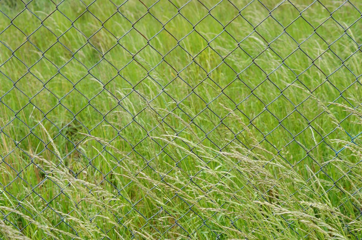 乡村一个金属栅栏的特写镜头 在绿草丛生的田野里花园棕色土地