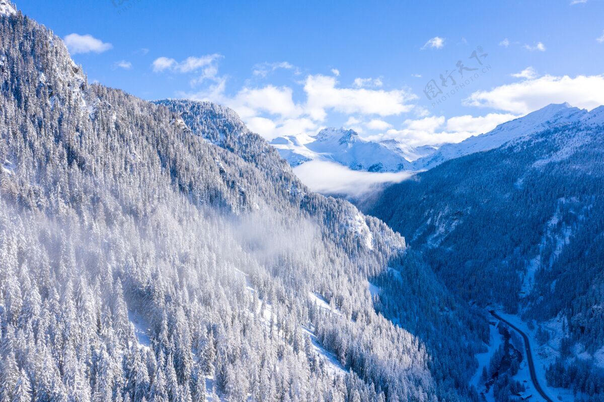 阿尔卑斯山瑞士阿尔卑斯山冬天有很多树的森林的美丽景色 瑞士风景山公园
