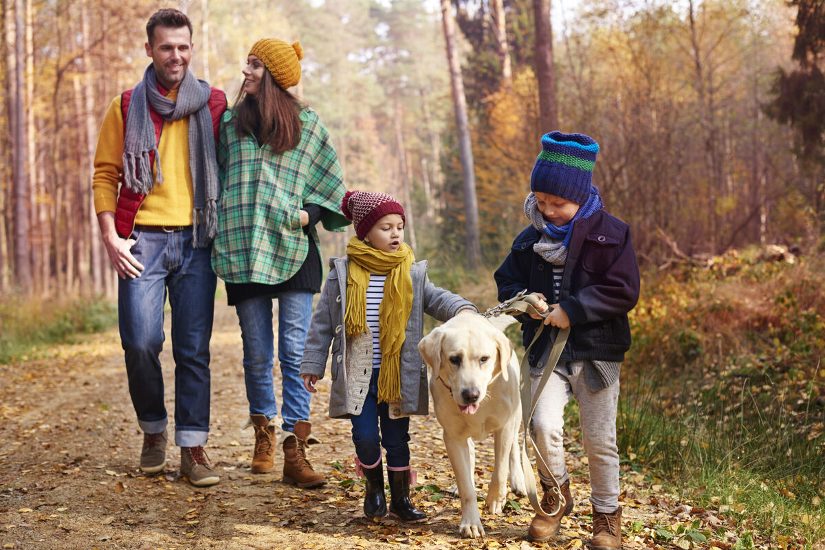狗秋天和家人一起散步拥抱自然男孩