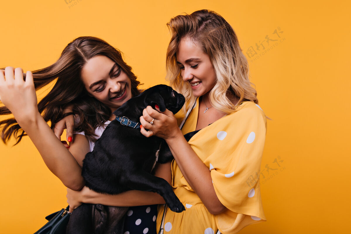 最好美丽的年轻女子带着爱看着她的狗可爱的女孩们玩着可爱的黑色小狗 在黄色上笑着爱狗乐趣