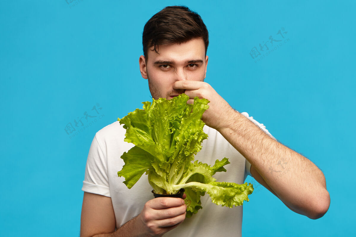 成人一个不快乐沮丧的年轻人 拿着一捆莴苣 捏着鼻子 皱着眉头 表情厌恶 讨厌蔬菜 严格素食悲伤鼻子恨