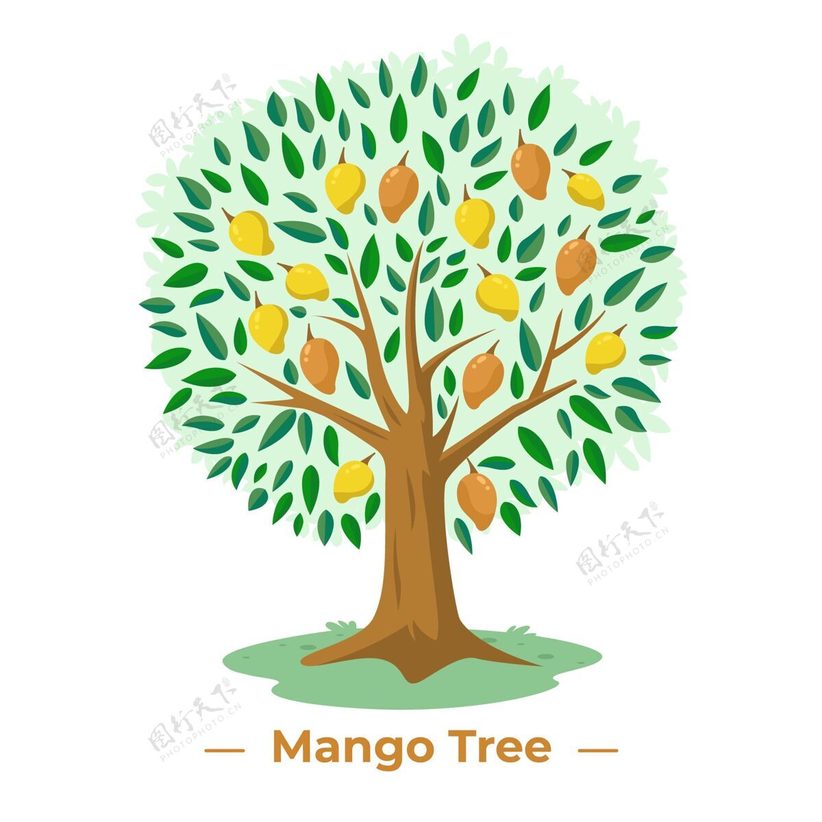设计平面设计的芒果树芒果芒果树美味