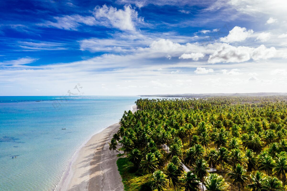 海洋在阳光明媚的日子里 美丽的海岸线被白色的沙滩和椰子树衬托着波浪绿色假日