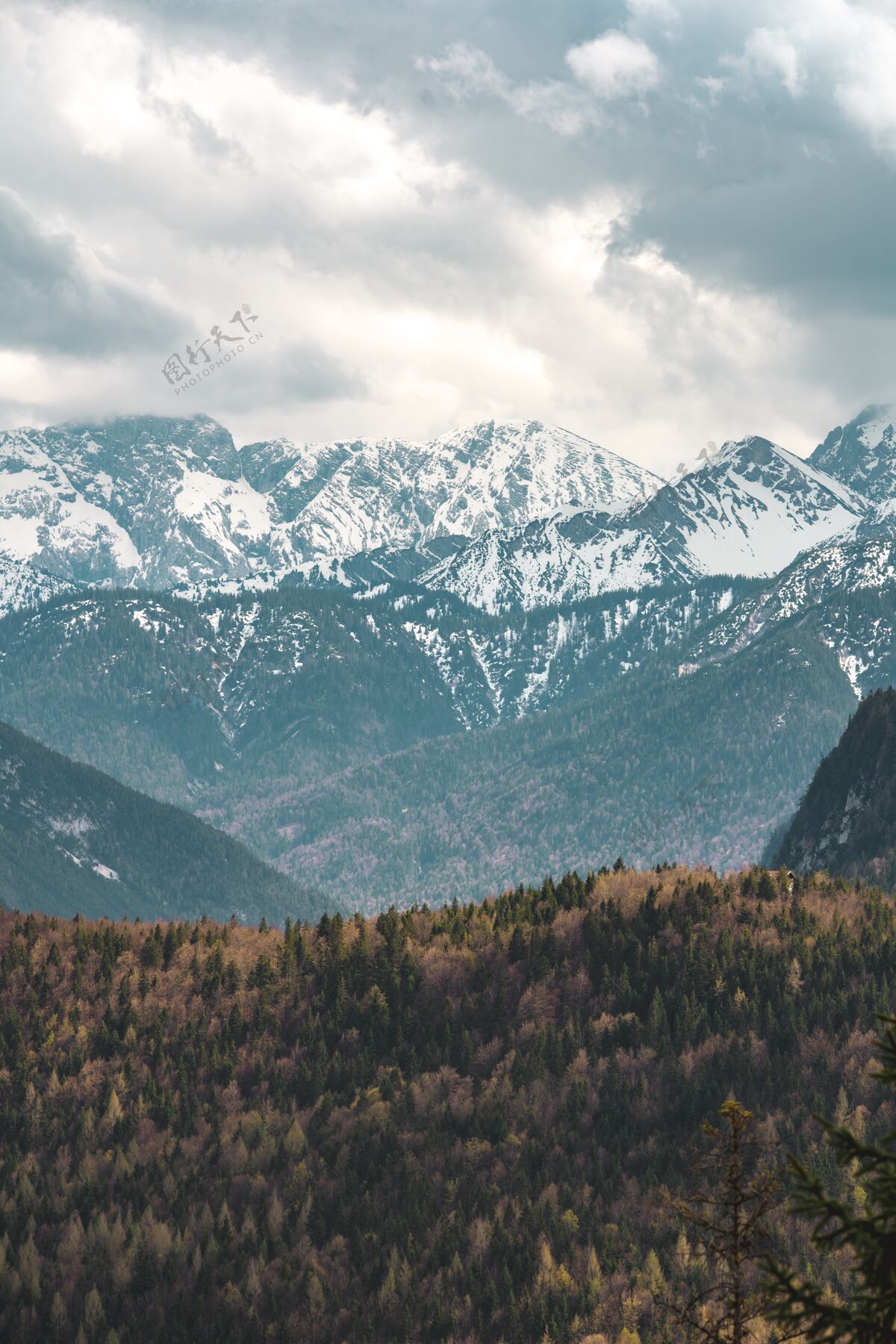 树巴伐利亚阿尔卑斯山的景色这座山脉被称为“克拉温德尔”地标远足森林