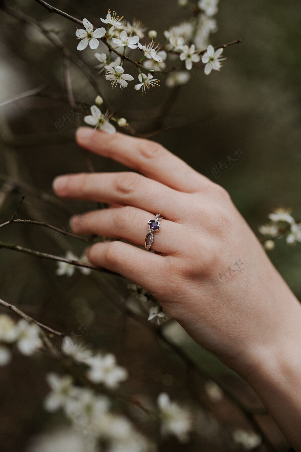 宝石美丽的银戒指与一个柔软的女性手紫色钻石戒指珠宝圆形