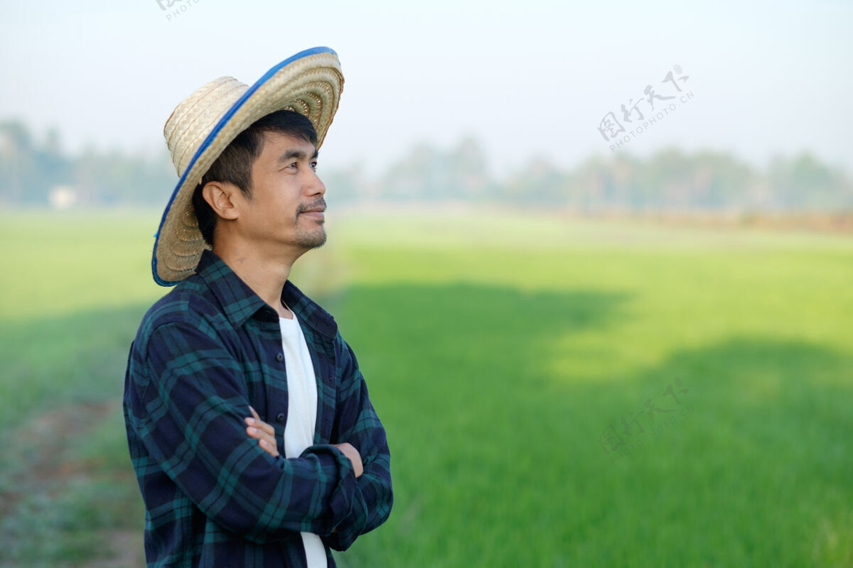 可爱一个戴着帽子的亚洲农民站在绿色稻田里 双手交叉着摆姿势收获身体农场