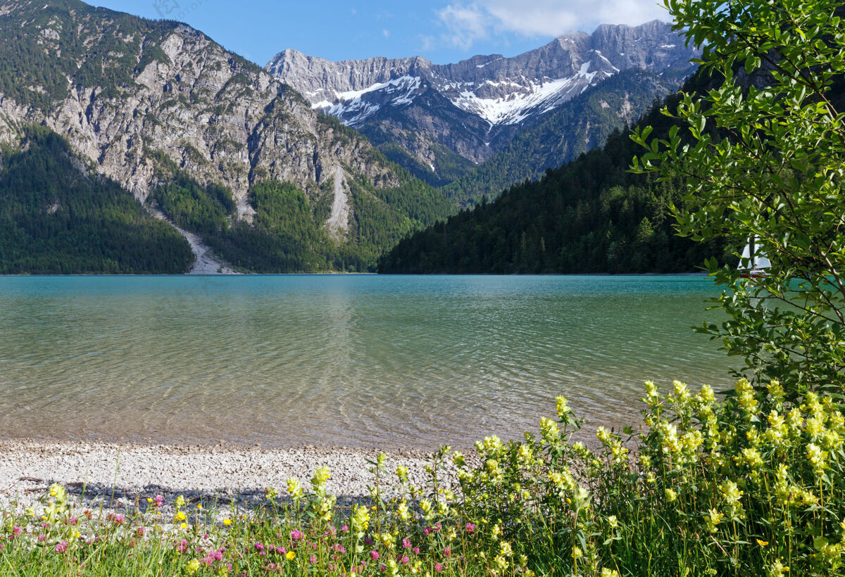 湖请看夏天的风景 山上有雪 前面有花（奥地利）水面水海岸
