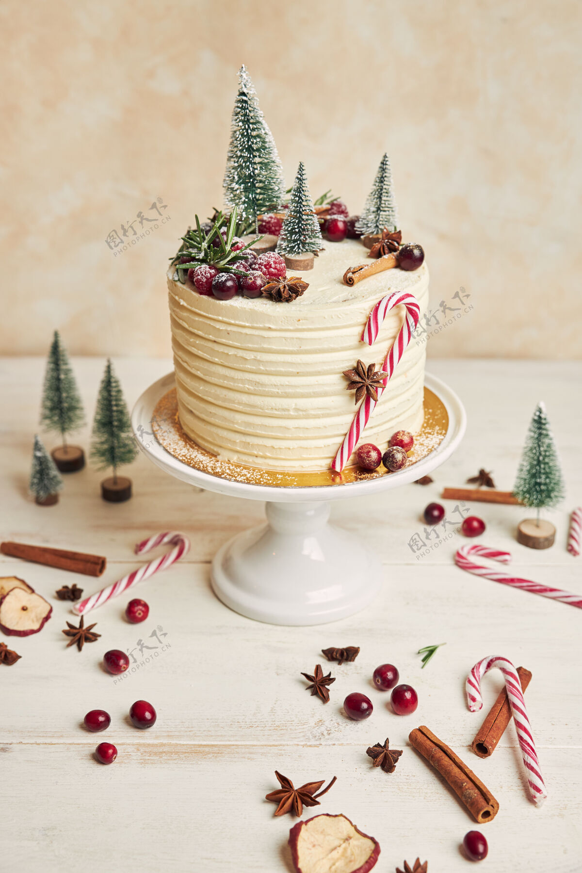 圣诞节用杉树装饰的美味圣诞蛋糕八角装饰圣诞树