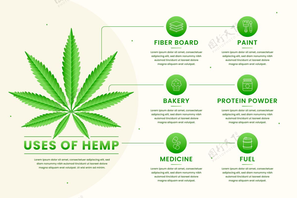 麻醉剂有关hemp使用信息图的信息医药大麻大麻