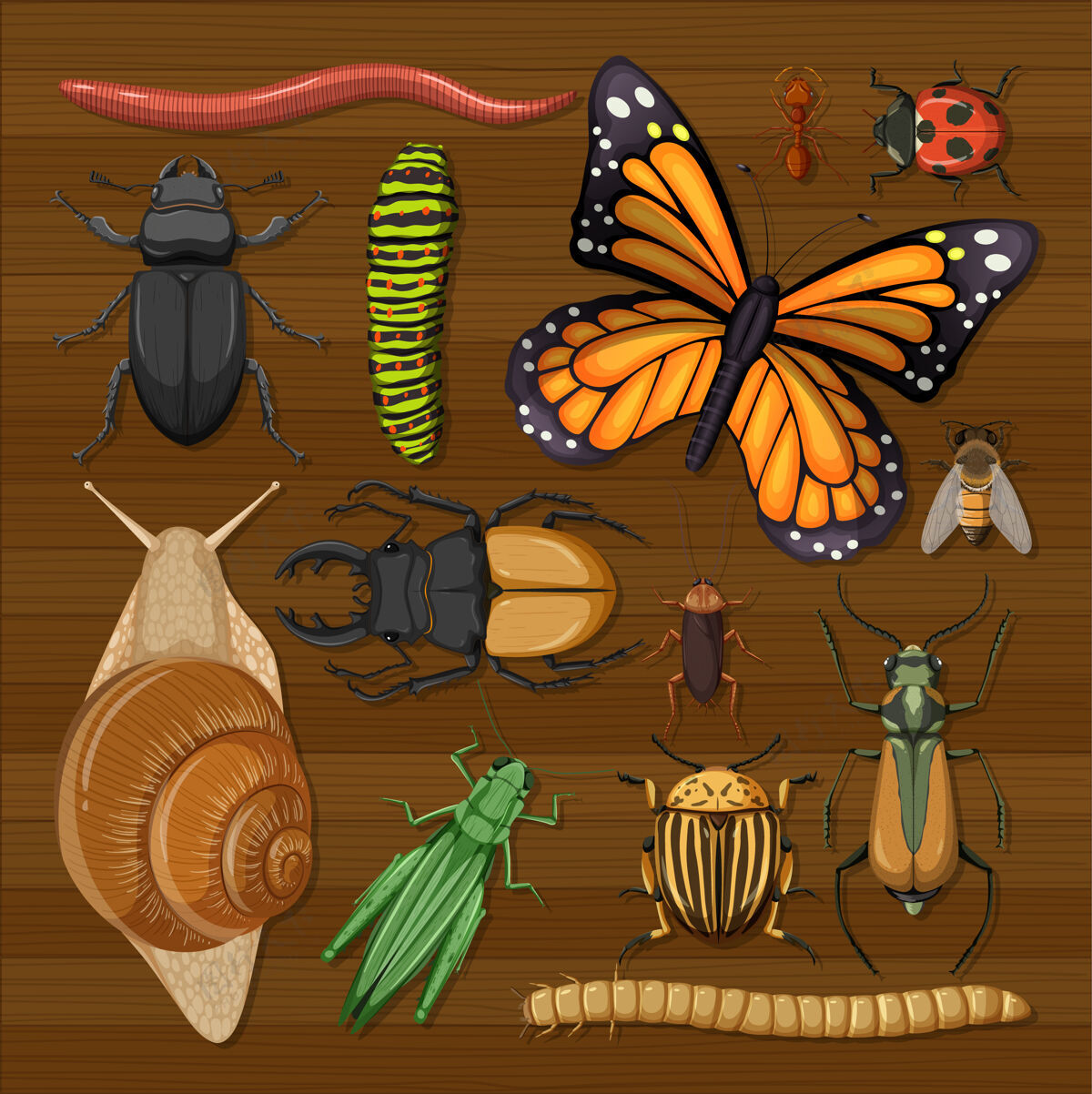 蟋蟀在木制墙纸背景上设置不同的昆虫毛骨悚然收集卡通